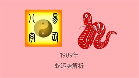 89年什么命|1989年属蛇是什么命 1989年属蛇命运